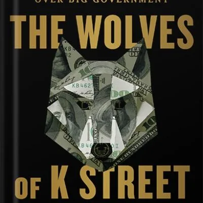 خرید و دانلود نسخه کامل کتاب The Wolves of K Street: The Secret History of How Big Money Took Over Big Government by Brody Mullins PDF