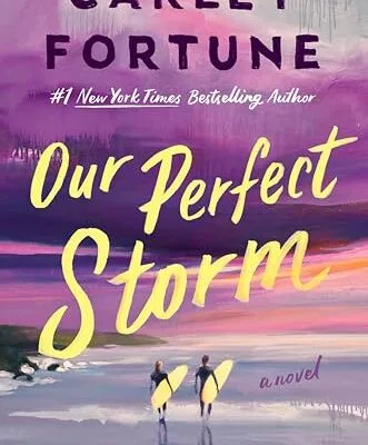 خرید و دانلود نسخه کامل کتاب Our Perfect Storm