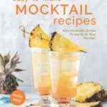 خرید و دانلود نسخه کامل کتاب Easy-To-Make Mocktail Recipes: Non Alcoholic Drinks To Serve At Your Parties! - PDF