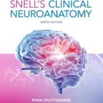خرید و دانلود نسخه کامل کتاب Snell's Clinical Neuroanatomy 9th Edition