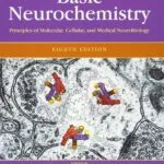 خرید و دانلود نسخه کامل کتاب Basic Neurochemistry: Principles of Molecular, Cellular, and Medical Neurobiology 8th edition
