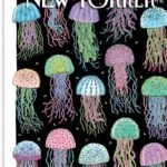 خرید و دانلود نسخه کامل 10 مجله The New Yorker Magazine 2026 نسخه PDF | زبان انگلیسی