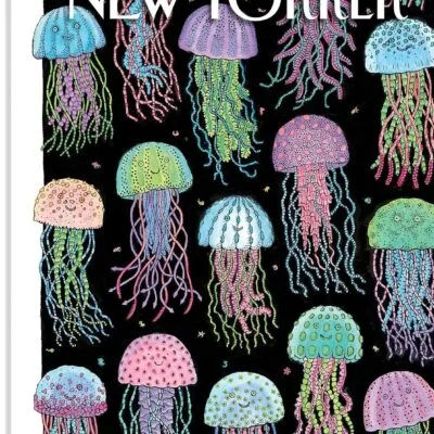 خرید و دانلود نسخه کامل 10 مجله The New Yorker Magazine 2026 نسخه PDF | زبان انگلیسی