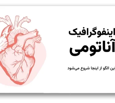 خرید و دانلود نسخه کامل قالب اینفوگرافیک آناتومی بدن | ۳۱ اسلاید برای آموزش و ارائه حرفه‌ای