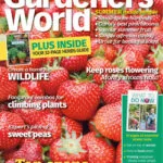 خرید و دانلود نسخه کامل مجله BBC Gardeners World؛ ژوئن 2025