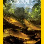 خرید و دانلود نسخه کامل مجله National Geographic USA؛ ژوئن 2024