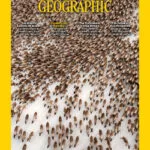 خرید و دانلود نسخه کامل مجله National Geographic USA؛ مارس 2025