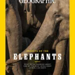 خرید و دانلود نسخه کامل مجله National Geographic USA؛ می 2023