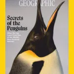 خرید و دانلود نسخه کامل مجله National Geographic USA؛ می 2025