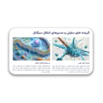 خرید و دانلود نسخه کامل قالب پاورپوینت سایکوفارماکولوژی (2) – طراحی علمی و مینیمال