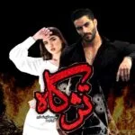 خرید و دانلود نسخه کامل رمان تژگاه اثر آرزو نامداری