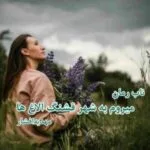 خرید و دانلود نسخه کامل رمان
 در میروم به شهر قشنگ الاغ ها اثر مهدیه افشار