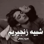 خرید و دانلود نسخه کامل رمان
 شبیه زنجیریم اثر نصیبه رمضانی