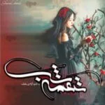 خرید و دانلود نسخه کامل رمان نغمه شب اثر آرام و بنفشه