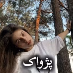 خرید و دانلود نسخه کامل رمان
 پژواک اثر مهدیه افشار