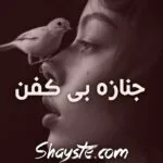 خرید و دانلود نسخه کامل رمان
دانلود pdf  جنازه ی بی کفن
