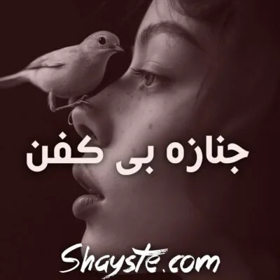 خرید و دانلود نسخه کامل رمان
دانلود pdf  جنازه ی بی کفن