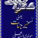 خرید و دانلود نسخه کامل رمان
دانلود pdf عمل حاضرات یعنی تسخیر جنات اثر مولوی السید علی