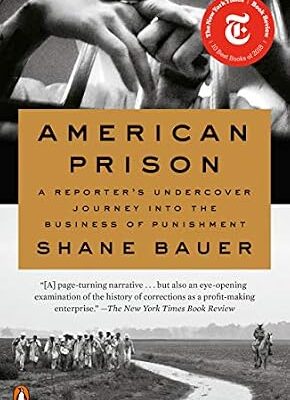 خرید و دانلود نسخه کامل کتاب American Prison: A Reporter’s Undercover Journey into the Business of Punishment