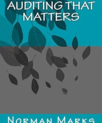 خرید و دانلود نسخه کامل کتاب Auditing that matters Kindle Edition