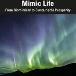 خرید و دانلود نسخه کامل کتاب زبان اصلی Economies that Mimic Life: From Biomimicry to Sustainable Prosperity PDF | دانلود کتاب خارجی