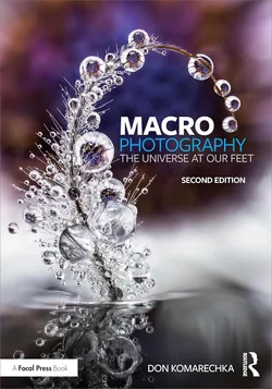 خرید و دانلود نسخه کامل کتاب زبان اصلی Macro Photography: The Universe at Our Feet, 2nd Edition PDF | دانلود کتاب خارجی