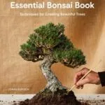خرید و دانلود نسخه کامل کتاب زبان اصلی The Essential Bonsai Book: Techniques for Creating Beautiful Trees PDF | دانلود کتاب خارجی