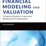 خرید و دانلود نسخه کامل کتاب Financial Modeling and Valuation: A Practical Guide to Investment Banking and Private Equity (Wiley Finance) 2nd Edition