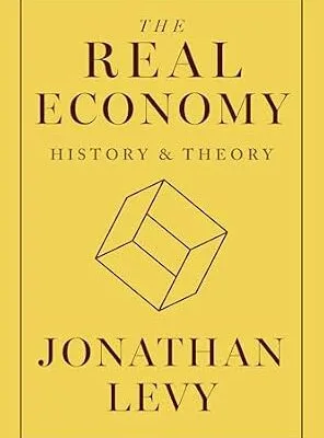 خرید و دانلود نسخه کامل کتاب The Real Economy: History and Theory