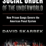 خرید و دانلود نسخه کامل کتاب The Social Order of the Underworld: How Prison Gangs Govern the American Penal System