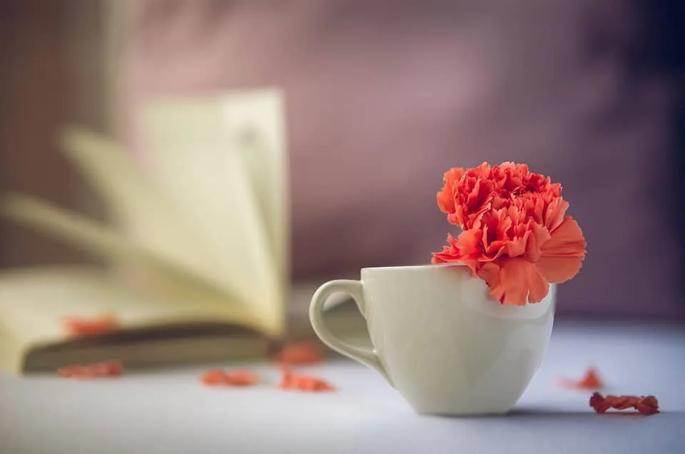 flower-nbj خرید و دانلود نسخه کامل سابلیمینال درمان استرس و اضطراب - تصویر 1