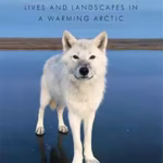 خرید و دانلود نسخه کامل کتاب Frostlines: A Journey Through Entangled Lives and Landscapes in a Warming Arctic