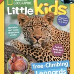 خرید و دانلود نسخه کامل 48 مجله نشنال جئوگرافیک کودکان خردسال National Geographic Little Kids 2026