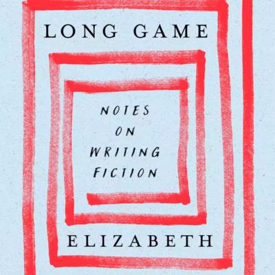 خرید و دانلود نسخه کامل کتاب A Long Game: Notes on Writing Fiction