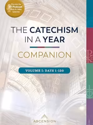 خرید و دانلود نسخه کامل کتاب The Catechism in a Year Companion, Volume I