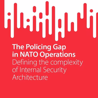 خرید و دانلود نسخه کامل کتاب The Policing Gap in NATO Operations