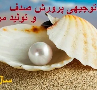 خرید و دانلود نسخه کامل طرح توجیهی پرورش صدف و تولید مرواردید