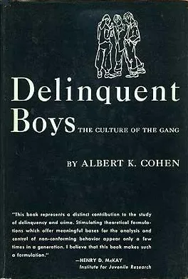 خرید و دانلود نسخه کامل کتاب انگلیسی Delinquent Boys: The Culture of the Gang | کتاب خارجی