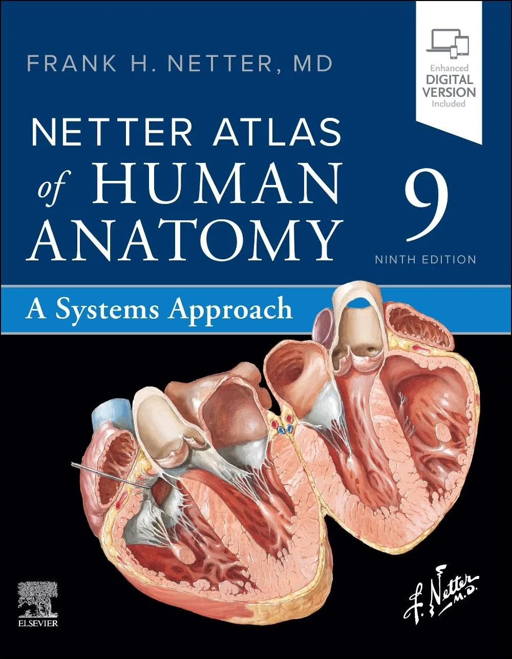 71-+BpzUPPL._SL1286_ خرید و دانلود نسخه کامل کتاب Netter Atlas of Human Anatomy: A Systems Approach (Netter Basic Science) 9th edition