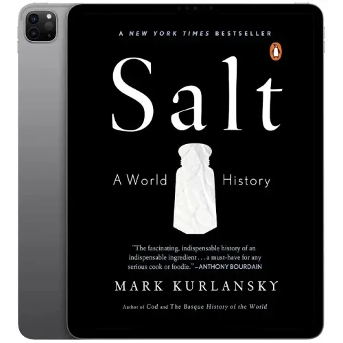 Salt-500x500-1 خرید و دانلود نسخه کامل کتاب Salt 2002 | رمان انگلیسی | داستان انگلیسی - تصویر 1