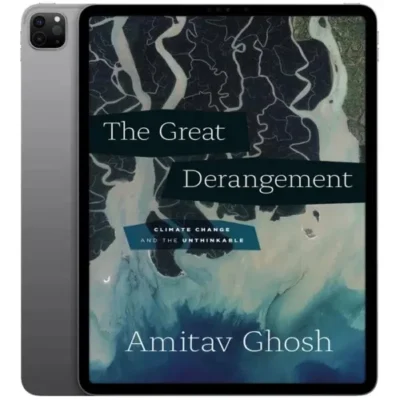 خرید و دانلود نسخه کامل داستان انگلیسی The Great Derangement 2017 | رمان انگلیسی | داستان انگلیسی