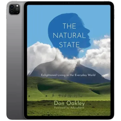 The-Natural-State-500x500-1 خرید و دانلود نسخه کامل داستان انگلیسی The Natural State 2025 | رمان انگلیسی | داستان انگلیسی - تصویر 1
