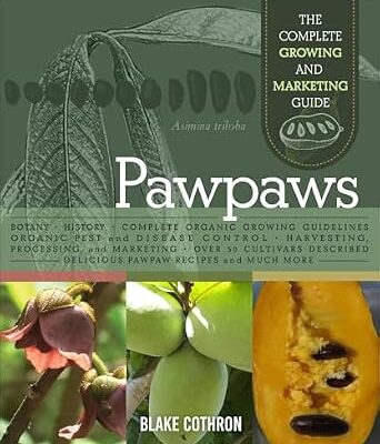 خرید و دانلود نسخه کامل کتاب زبان اصلی Pawpaws: The Complete Growing and Marketing Guide PDF | دانلود کتاب خارجی