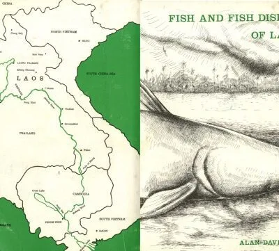 خرید و دانلود نسخه کامل کتاب Fish and Fish Dishes of Laos