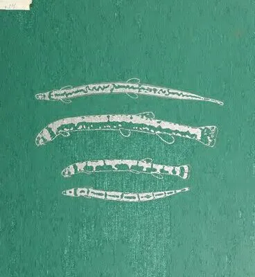 خرید و دانلود نسخه کامل کتاب The Freshwater Fishes of Western Borneo (Kalimantan Barat, Indonesia, Memoirs of the California Academy of Sci Srs No. 14:)