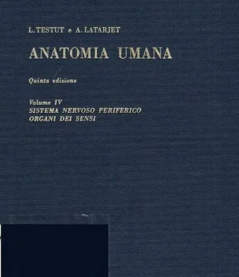 خرید و دانلود نسخه کامل کتاب Anatomia Umana